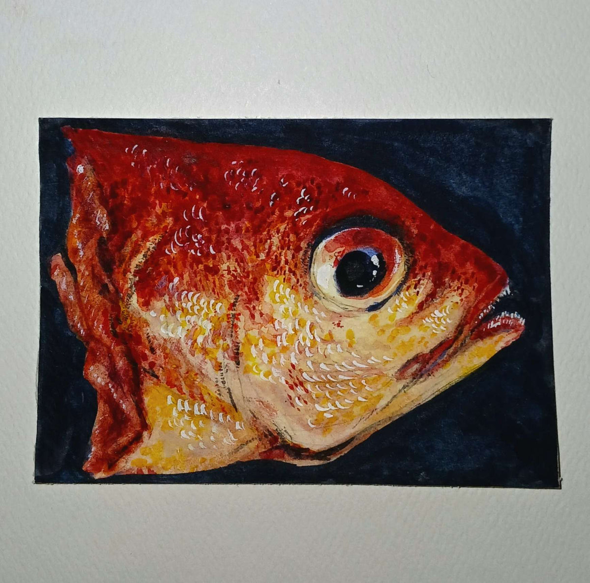 ACEO Severed Fish Original Watercolor Painting Signed 3.5 X 2.5 inches